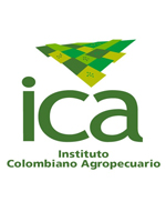 El ICA apoya el desarrollo del sector ovinocultor en el municipio de Cucunubá