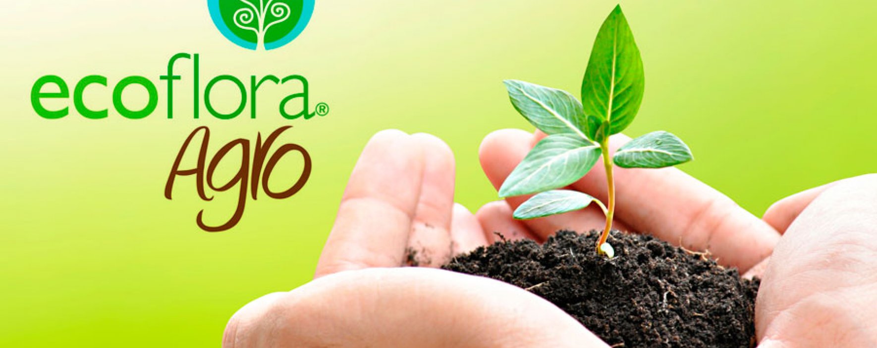 Ecoflora Agro: una empresa que cuida al medio ambiente