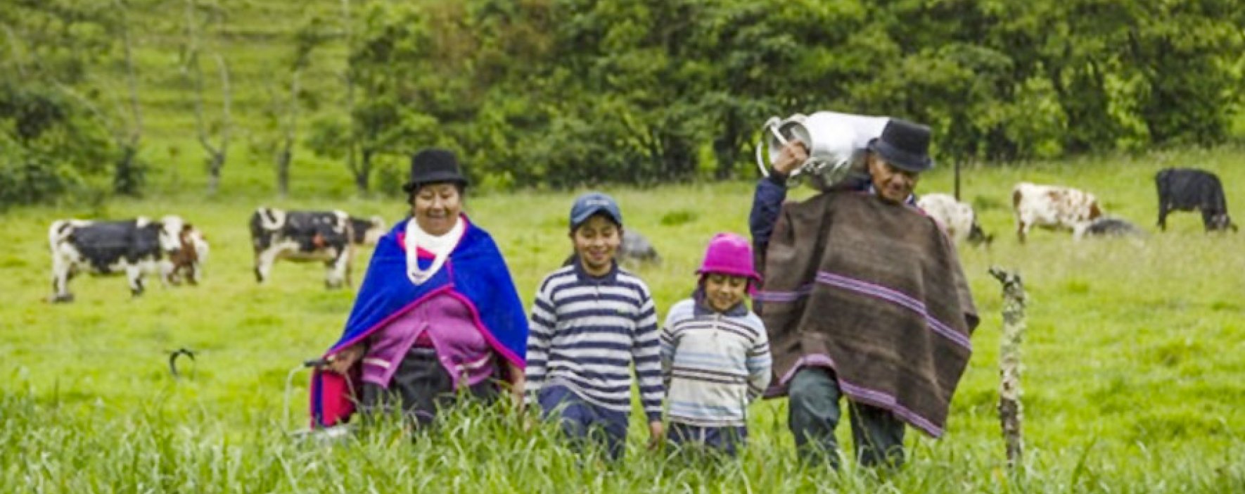 La Fundación Alpina y su trabajo alimentario en las poblaciones rurales del país