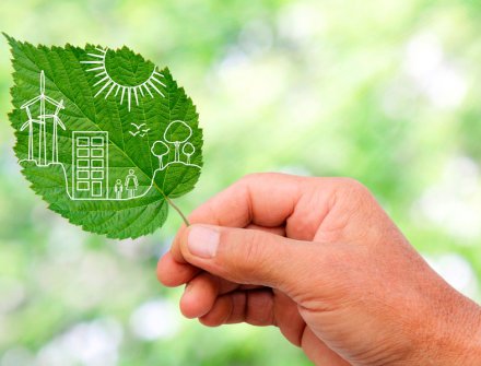 Compañías preocupadas por ser sostenibles ambientalmente