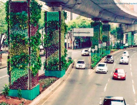 Jardines verticales darán oxígeno a Ciudad de México