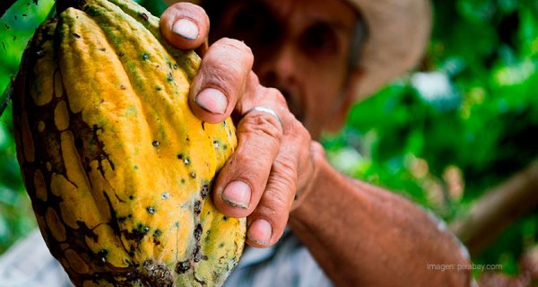 Campo justo, innovación para la reducción de desigualdades en el campo colombiano