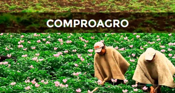 Comproagro: Iniciativa social de paz 