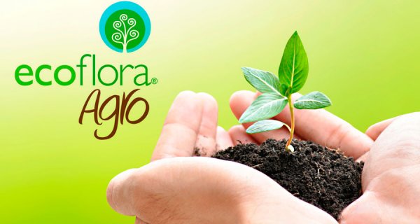 Ecoflora Agro: una empresa que cuida al medio ambiente