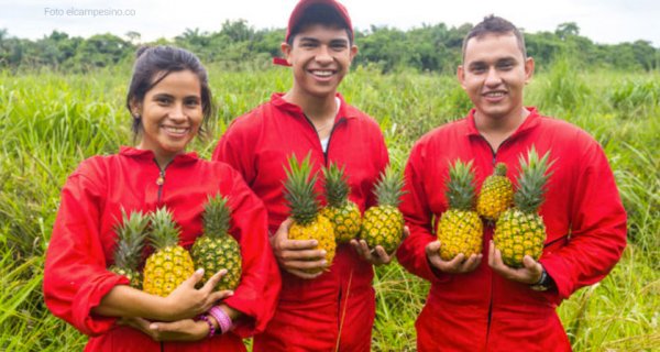 En marcha programa de becas para jóvenes campesinos en Casanare