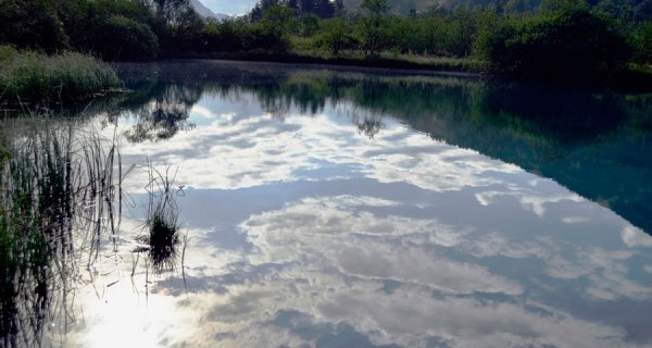 Estrategias para conservar el agua de Sumapaz