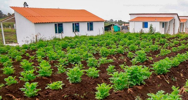 Gobierno asigna $202 mil millones para vivienda rural en 2019