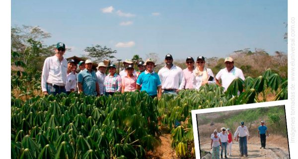 31 Colegios habilitados en Soacha