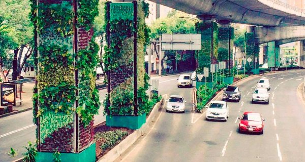 Jardines verticales darán oxígeno a Ciudad de México