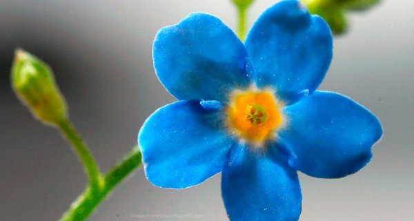 La Fundación Compartir estuvo con las víctimas y participó en el Día de la Memoria en Bogotá