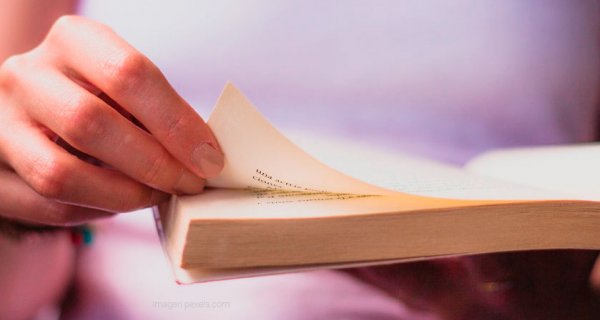 Lectura crítica en la escuela: un encuentro para maestros y estudiantes