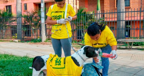 Mil ECOlombianos por un propósito: disminuir el consumo de bolsas plásticas en 2018