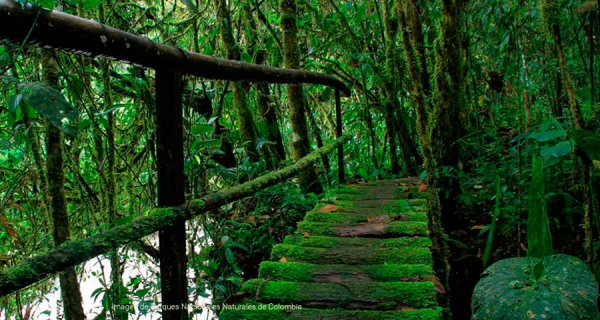 Santuarios naturales que querrás visitar